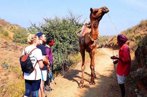 DAY WALKING TOUR in udaipur