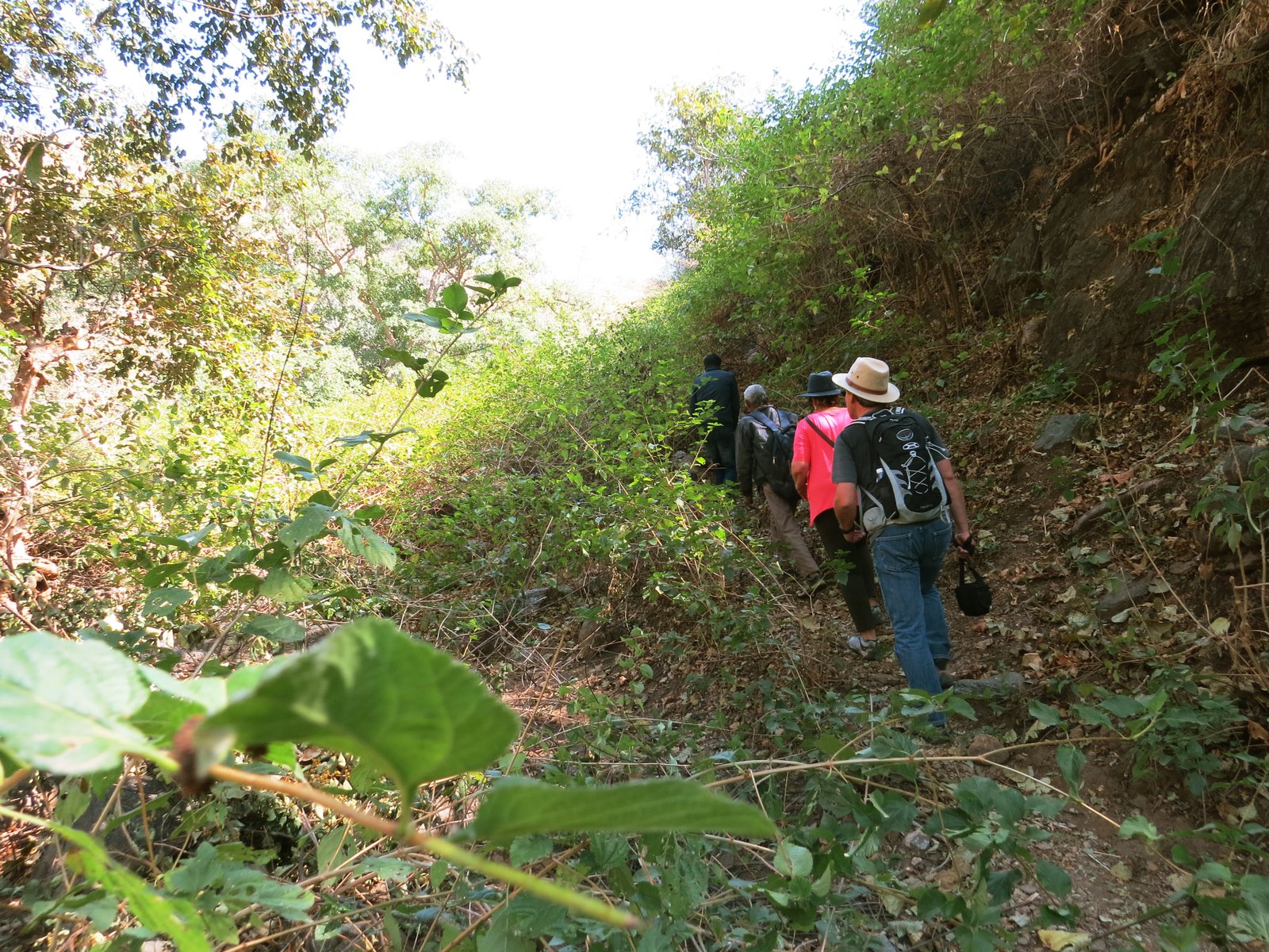 IMG_0080
